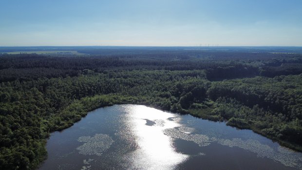 Hausboot mit Hund auf der Mecklenburger Seenplatte mieten